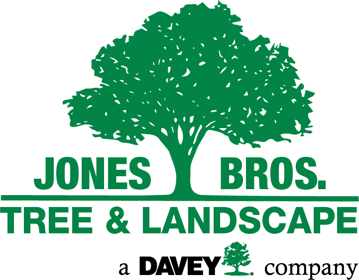 Landscaping Logo With Trees Clipart (721x564), Png Download