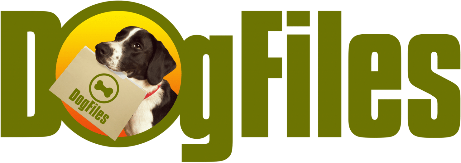 Croatia Clipart (1600x578), Png Download