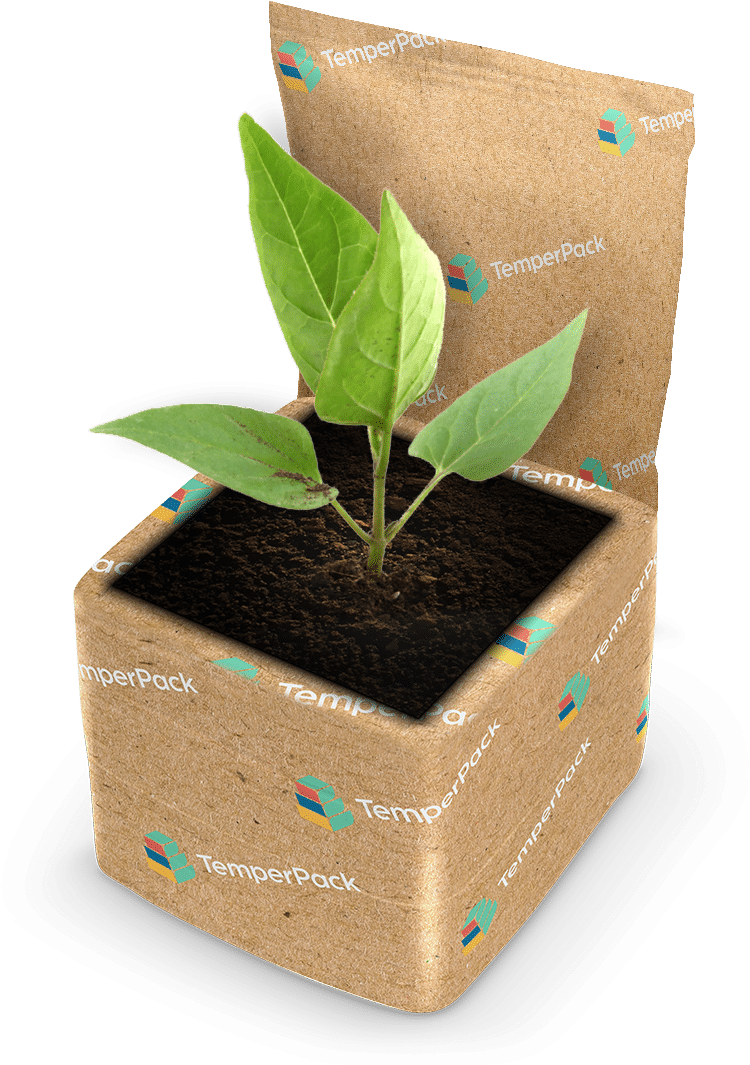 Sustainable Plant Package - Flowerpot Clipart (750x1065), Png Download