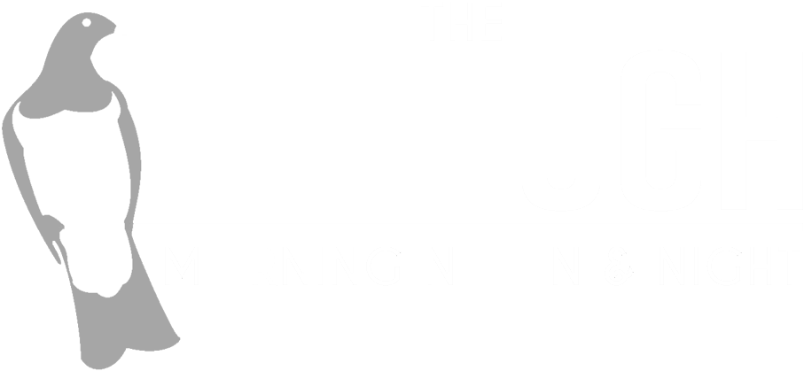 Neck Png - Penguin Clipart (1000x1000), Png Download