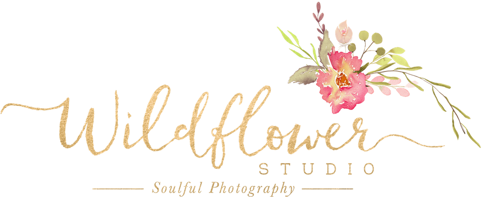 Wildflower Studio Soulful Photography , Png Download - Artificial Flower Clipart (970x397), Png Download