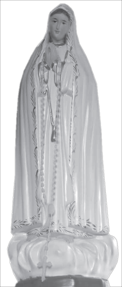 Virgen Liceo Arkadia Colombia - Hood Clipart (426x1002), Png Download