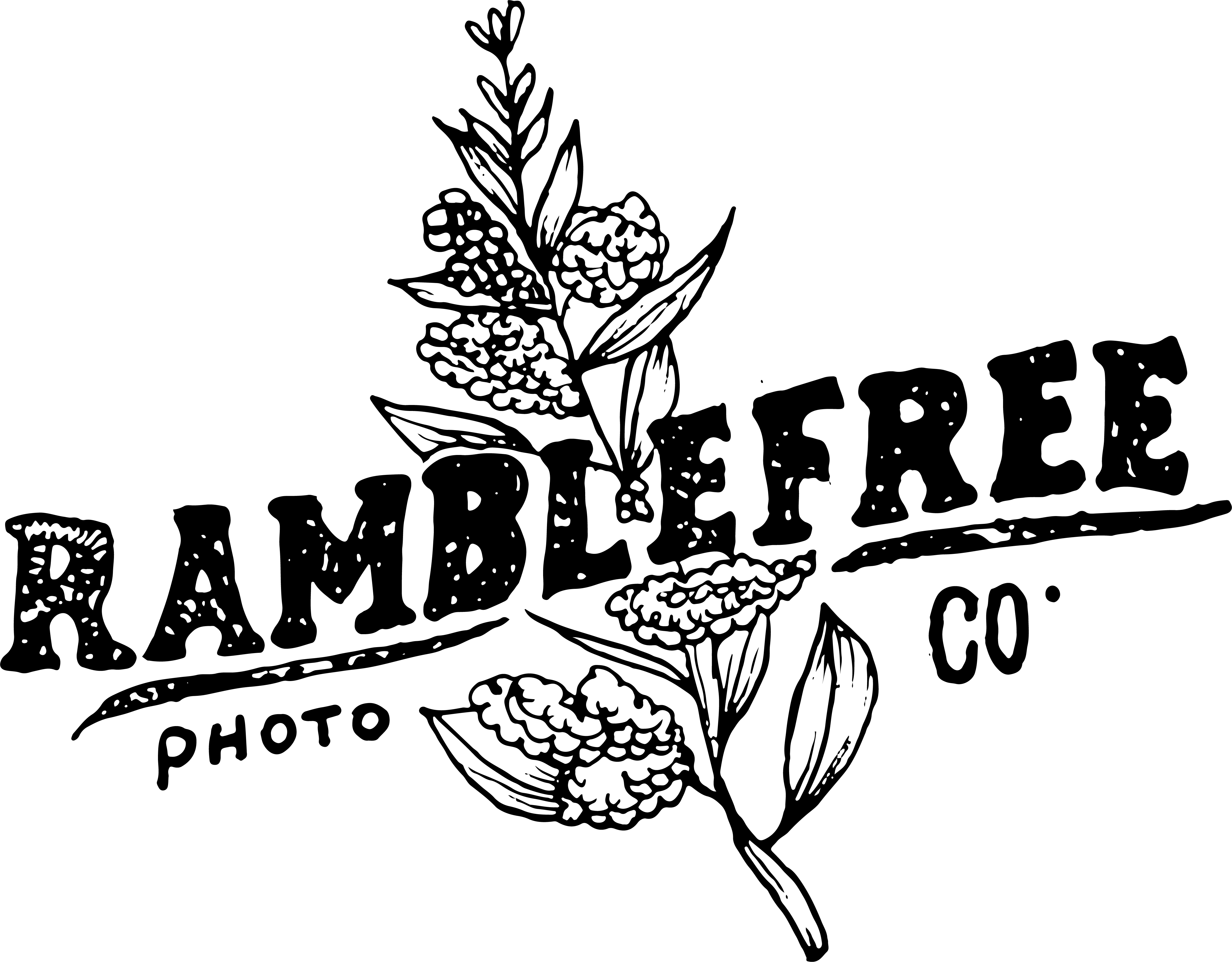 New England Wedding Photographer - Illustration Clipart (4757x3715), Png Download