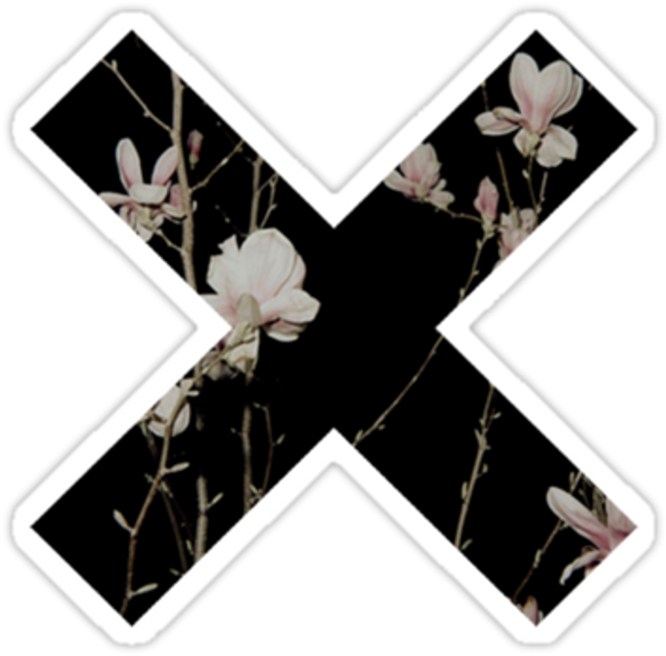 #cross #overlay #png #x #edit #tumblr #flower #munloit - Hipster Sticker Tumblr Png Clipart (1024x983), Png Download