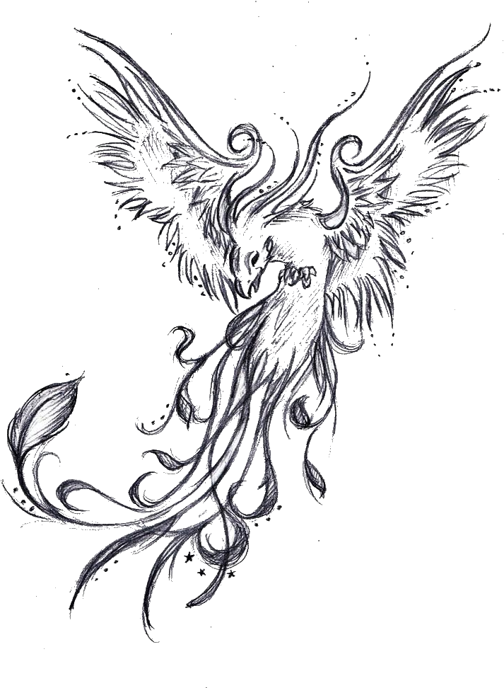 Tattoo Phoenix Sleeve Legendary Drawing Creature Clipart - Phoenix Tattoo - Png Download (739x1024), Png Download
