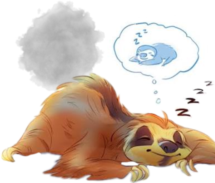 Ленивец Сон Clipart (1024x1024), Png Download