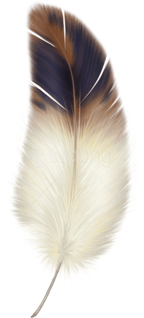 Free Png Download Feather Png Images Background Png - Bird Feather Clipart Transparent Png (480x1055), Png Download