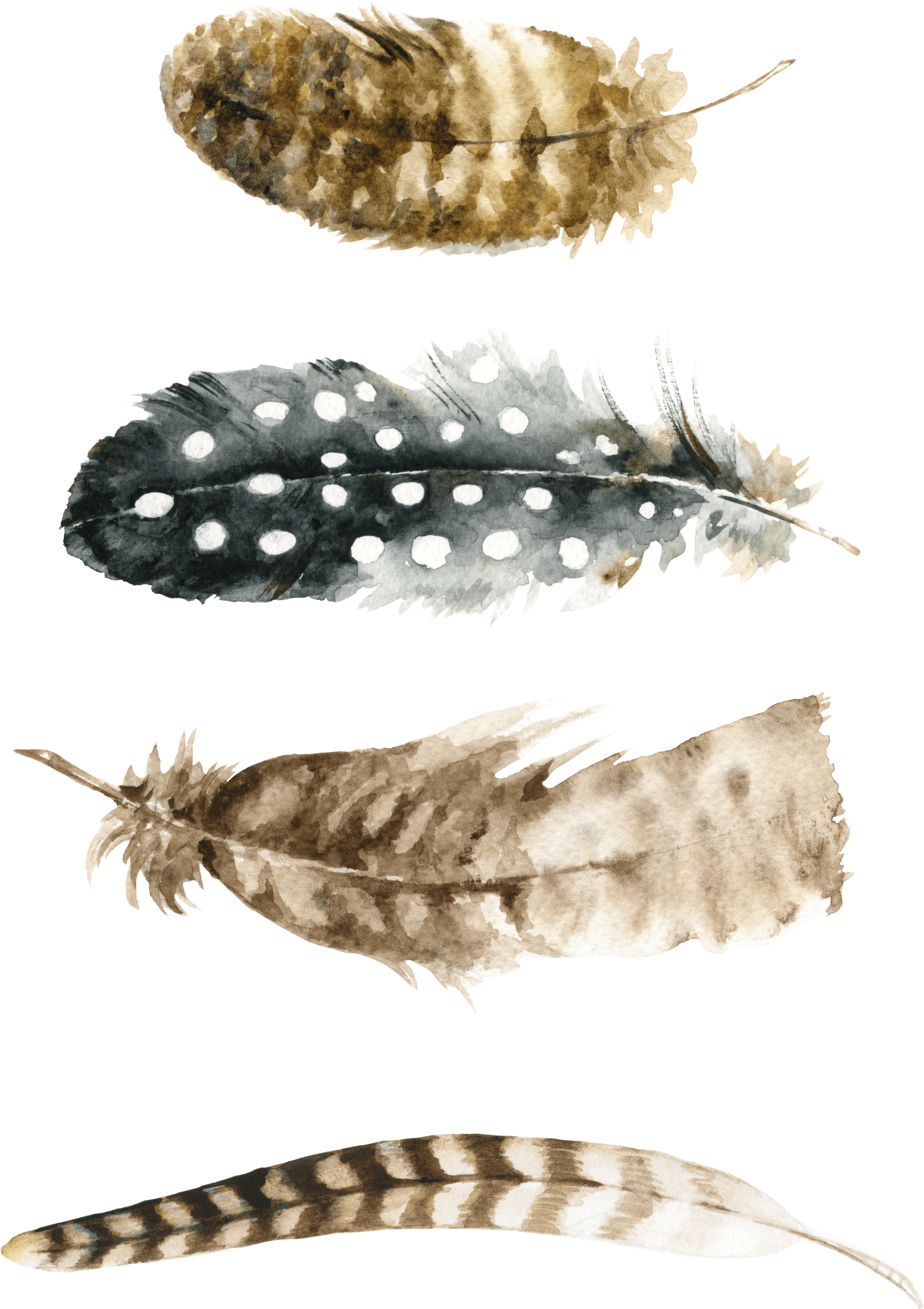 Free Printable Feathers Prints Free Printable Feather Wall Art