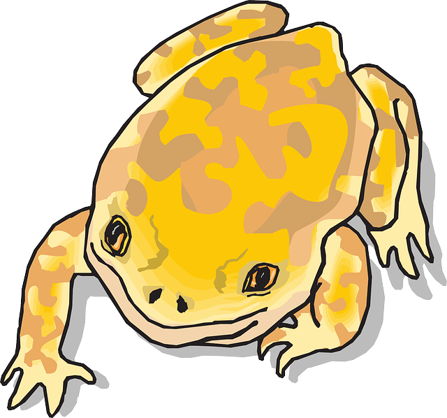 Yellow Cartoon Frog Clipart (640x598), Png Download