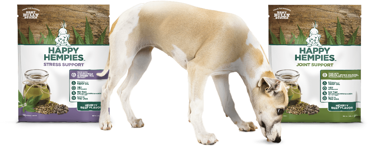 Next - Happy Hempies Clipart (1298x649), Png Download