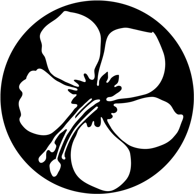 Hibiscus Flower Clipart (800x800), Png Download