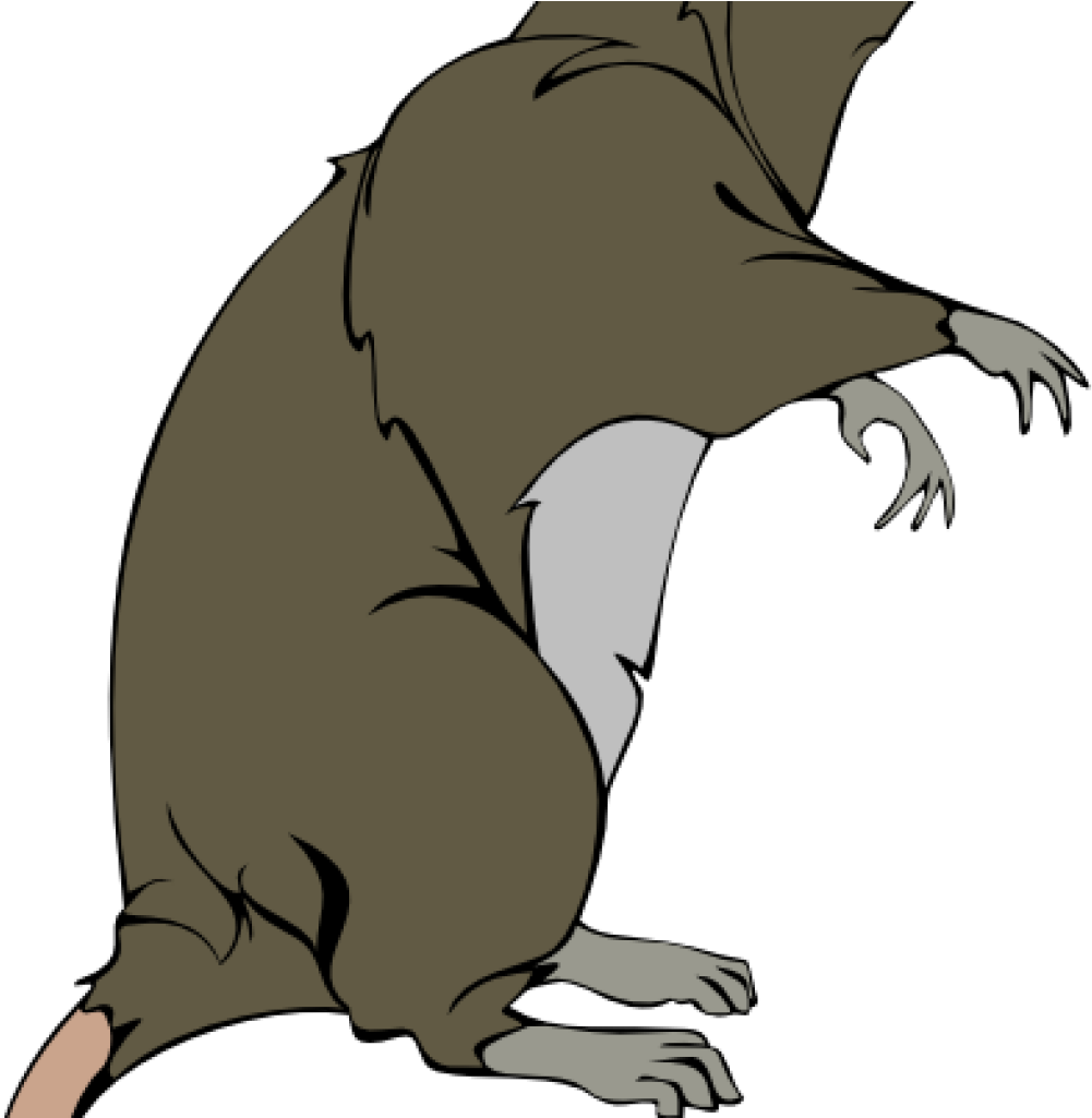 Rat Clipart Rat Clip Art Free Clipart Panda Free Clipart - Free Clipart Rat Transparent - Png Download (1001x1025), Png Download