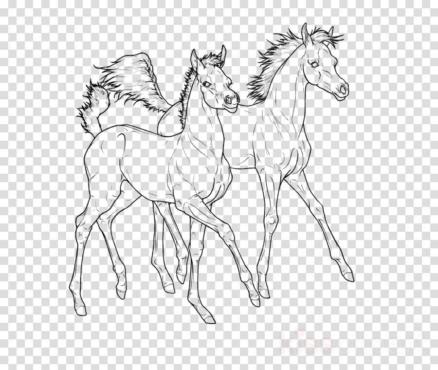 Arabian Horse Clipart Foal Pony Mustang - Chibi Ryuk - Png Download (900x760), Png Download