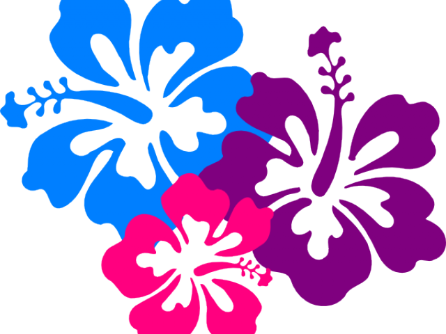 Hibiscus Clipart - Png Download (640x480), Png Download