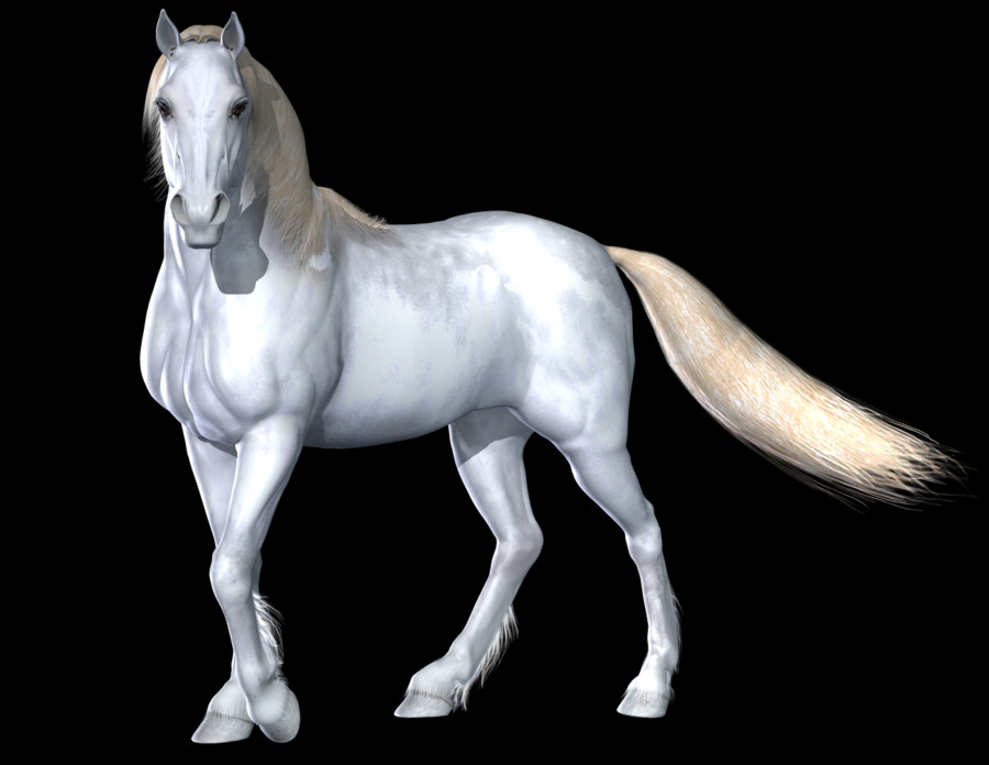 Red Dead Redemption Montado No Cavalo Clipart (900x696), Png Download