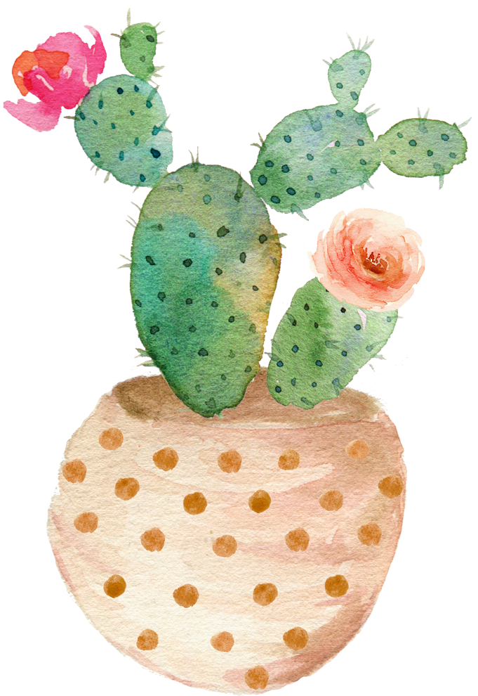 Fleurs Flores Flowers Bloemen Png Cactus Pinterest - Cactus And Succulents Art Clipart (548x800), Png Download