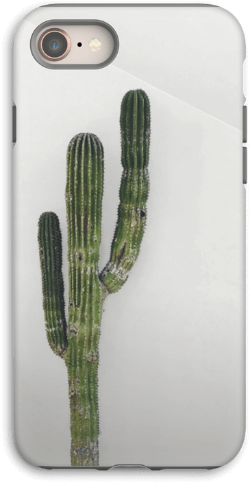 Weberocereus Clipart (497x800), Png Download