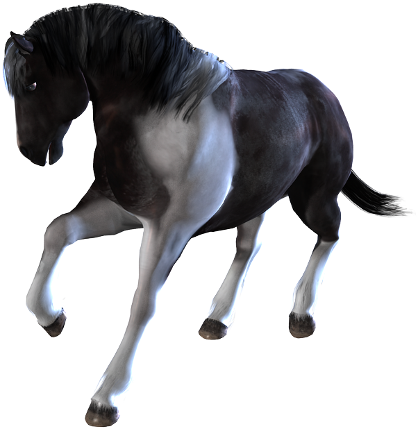 Home / Poser And Daz Studio Content / Horses / Daz - Transparent Horses Png Animated Clipart (702x718), Png Download