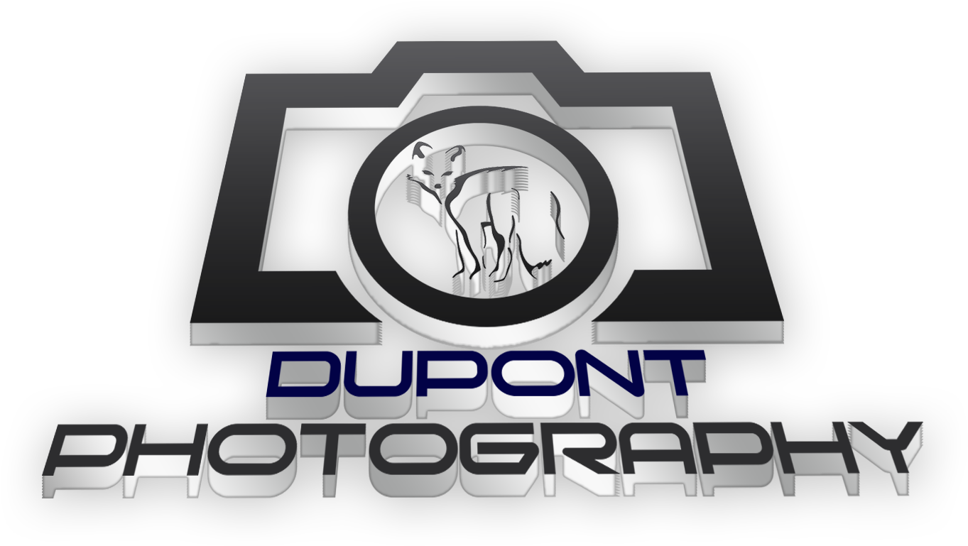 Emblem Clipart (2250x1200), Png Download