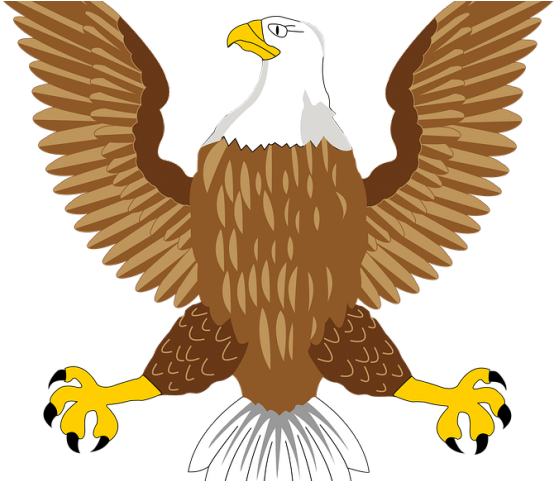 Golden Eagle Clipart Dead Eagle - Native American Eagle Bustle - Png Download (640x480), Png Download