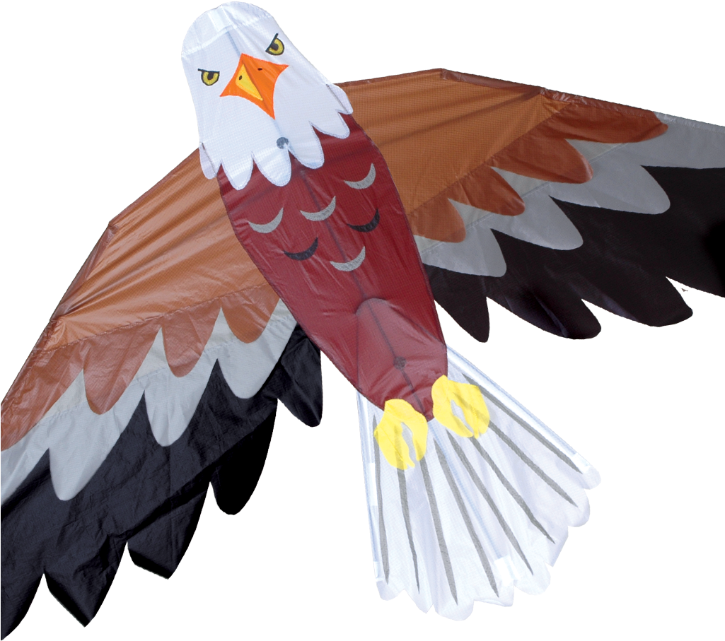 Bald Eagle Clipart Kite Bird - Eagle Kites - Png Download (1024x1024), Png Download