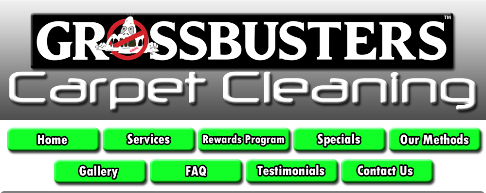 Dupont, Wa Carpet Cleaners You Can Trust - Ghostbusters The Video Game Clipart (999x398), Png Download
