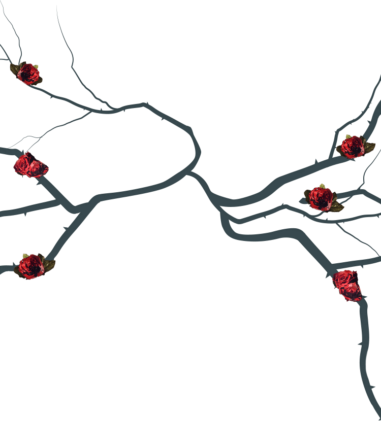 Duckie Toth Clipart (750x830), Png Download