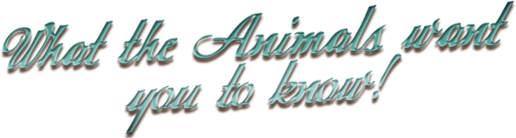 Untitled - Calligraphy Clipart (1200x290), Png Download