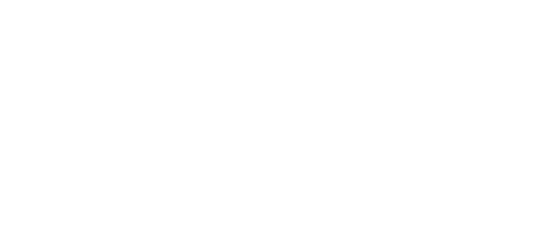 Paris Georgia Store - Twitter White Bird Logo Clipart (800x400), Png Download