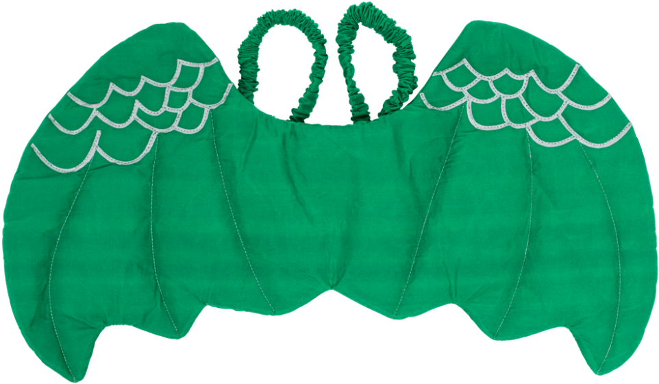 Green Kids Dragon Wings Rice Dk Kiwin-dragon - Drachen Flügel Kostüm Clipart (1000x630), Png Download