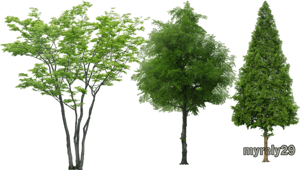 Arbolespost - Arboles Png Sin Fondo Clipart (1024x597), Png Download