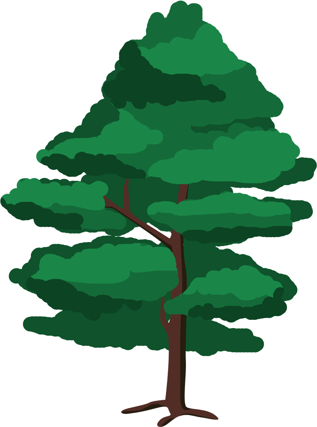 Ilustración Árbol - Especies De Arboles Que Protege El Inab Clipart (1600x1600), Png Download