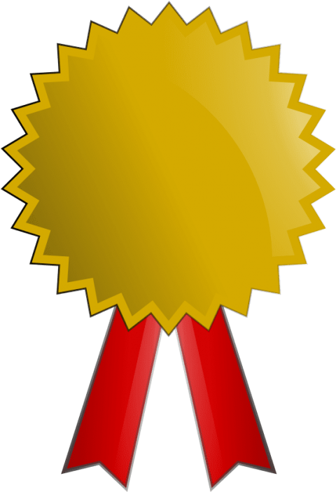 Flappy Bird Medals - Gold Medal Clip Art - Png Download (480x703), Png Download
