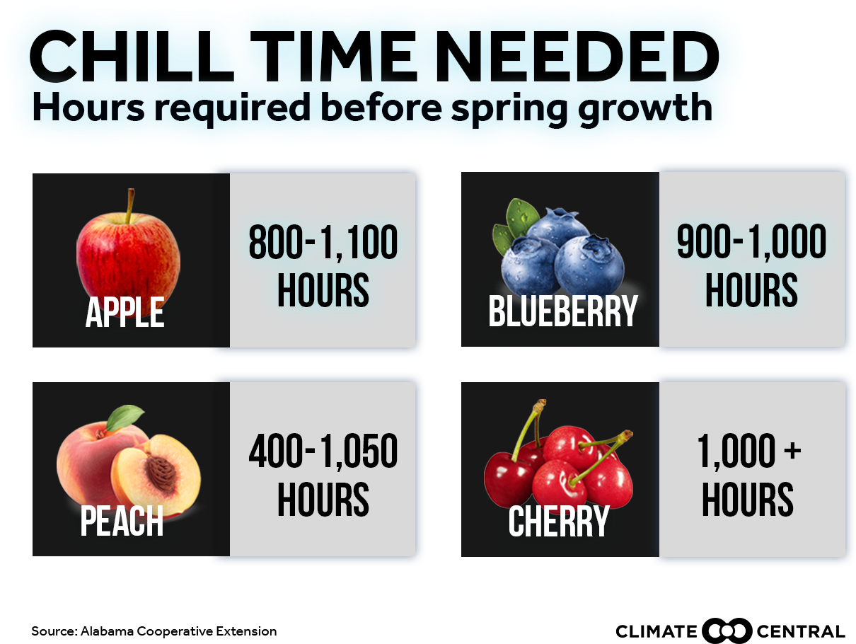 Jpg • Png - Natural Foods Clipart (1920x1080), Png Download