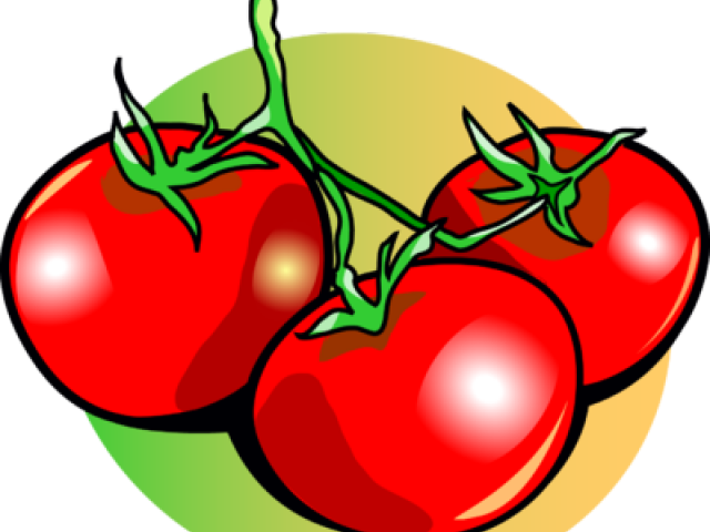 11 Tomato Clipart Vine Clip Art Free Clip Art Stock - Tomatoes Clipart - Png Download (640x480), Png Download