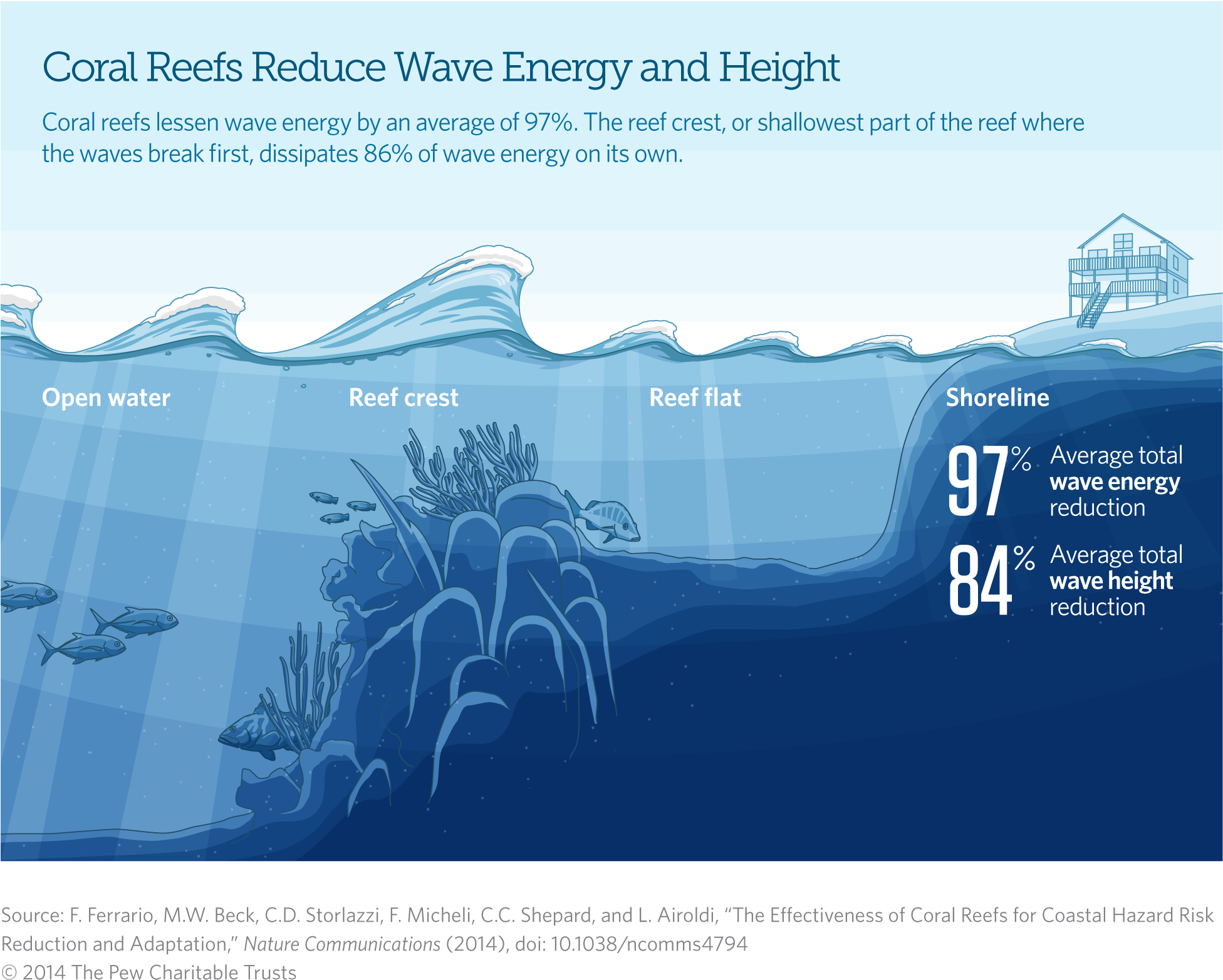 Coral Reefs Reduce Wave Energy And Height - Do Coral Reefs Protect Shorelines Clipart (1997x1590), Png Download
