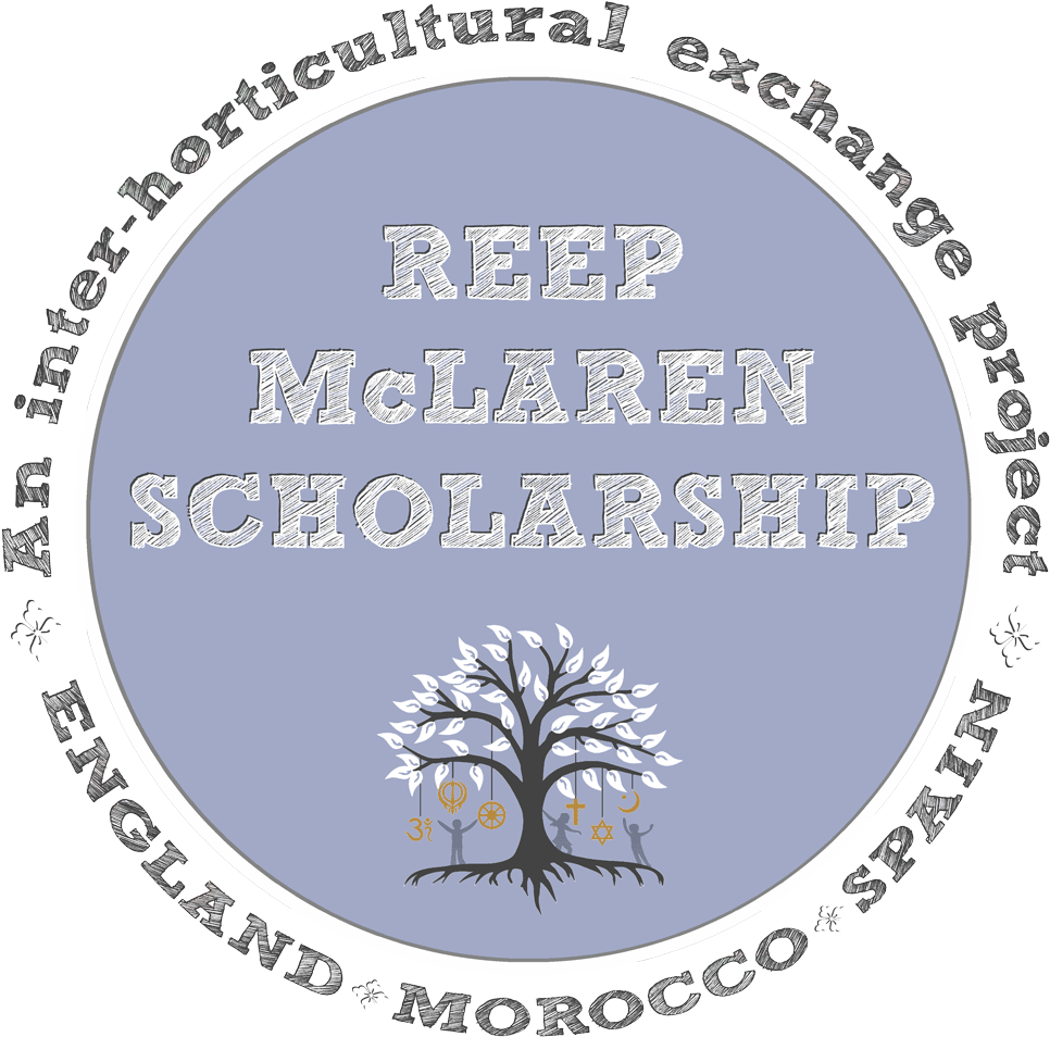Reep Mclaren Scholarship Logo - Willow Clipart (1000x1008), Png Download