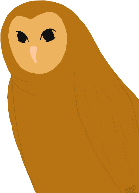 Ovo Owl Png - Barn Owl Clipart (586x813), Png Download