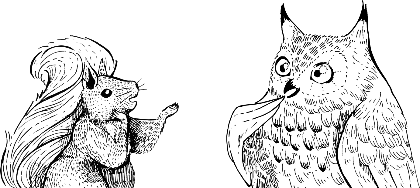 Squirrel And Owl Conversing While Standing - Squirrel And Owl Clipart (1382x620), Png Download