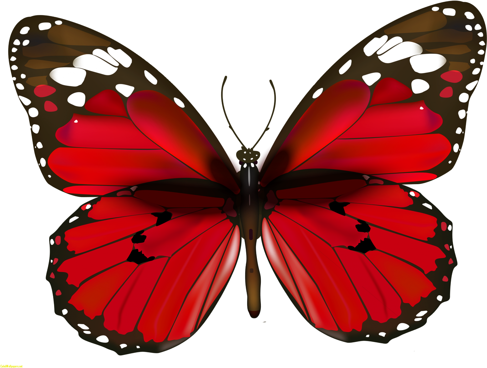 Free Png Download Butterfly Png Images Background Png - Red Butterfly Painting Clipart (850x657), Png Download