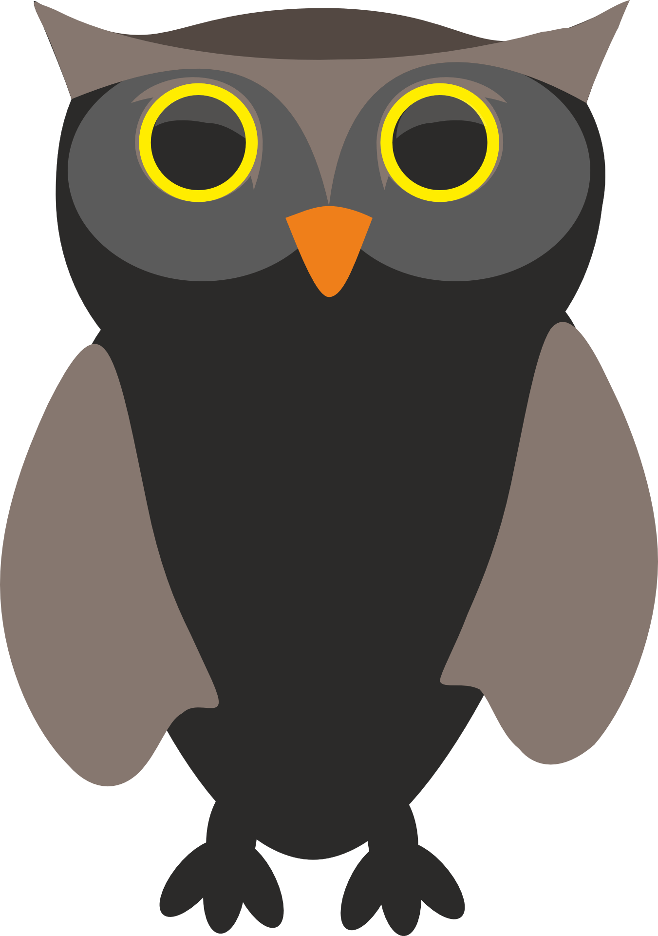 Owl Clip Art Transparent - Owl - Png Download (1351x1920), Png Download