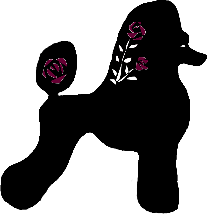 Rose City Standard Poodles Champion Solid And Multicolored - Standard Poodle Clipart (961x961), Png Download