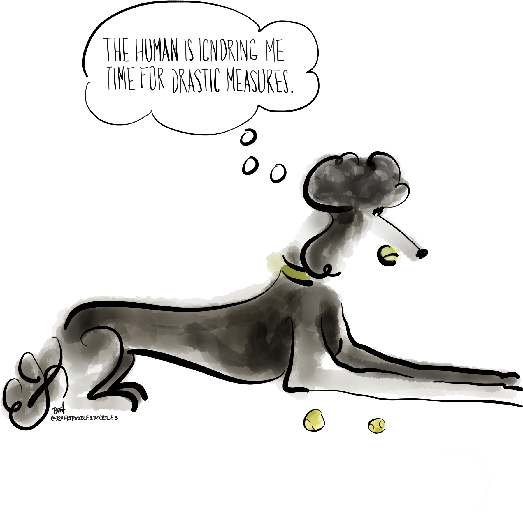 Poodles - Longdog Clipart (2732x2048), Png Download