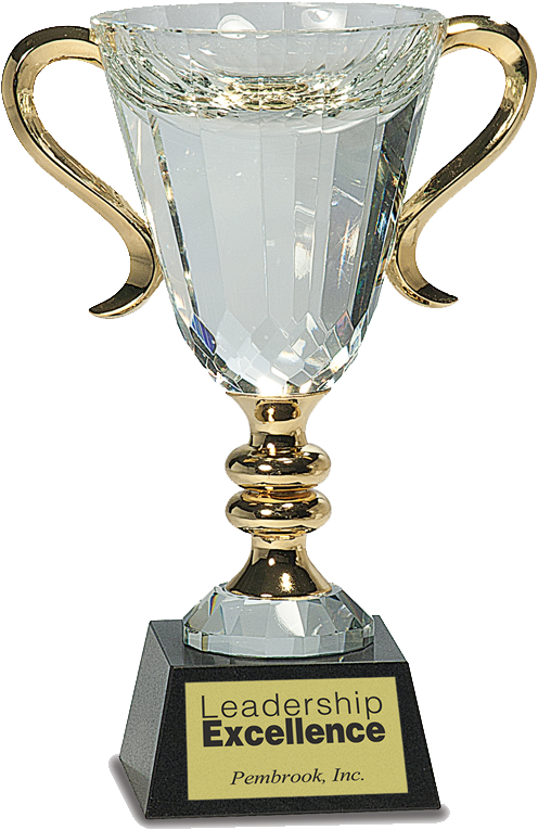 Rochester Engraving Trophy Awards - Trophy Engraving Clipart (516x776), Png Download