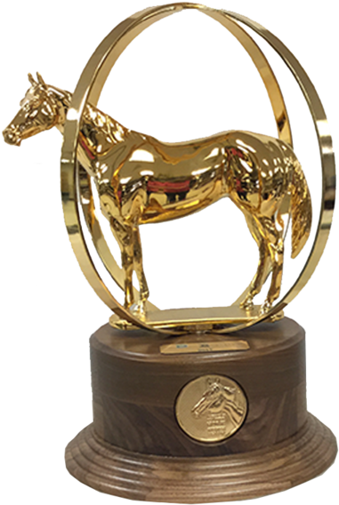 Aqha World Champion Duplicate Trophy - Aqha World Show Trophy Clipart (600x600), Png Download