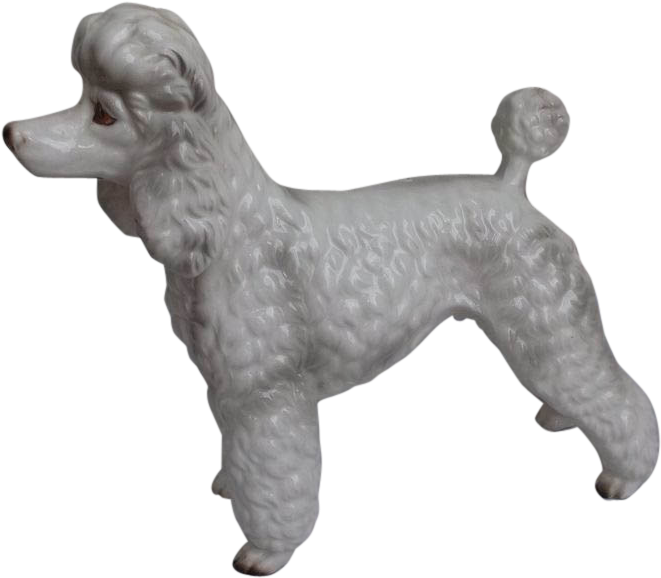 Toy Poodle Clipart (660x660), Png Download