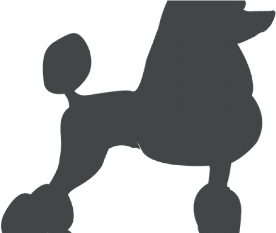 Poodle Clipart Poodle Outline - Poodle Silueta Png Transparent Png (640x480), Png Download