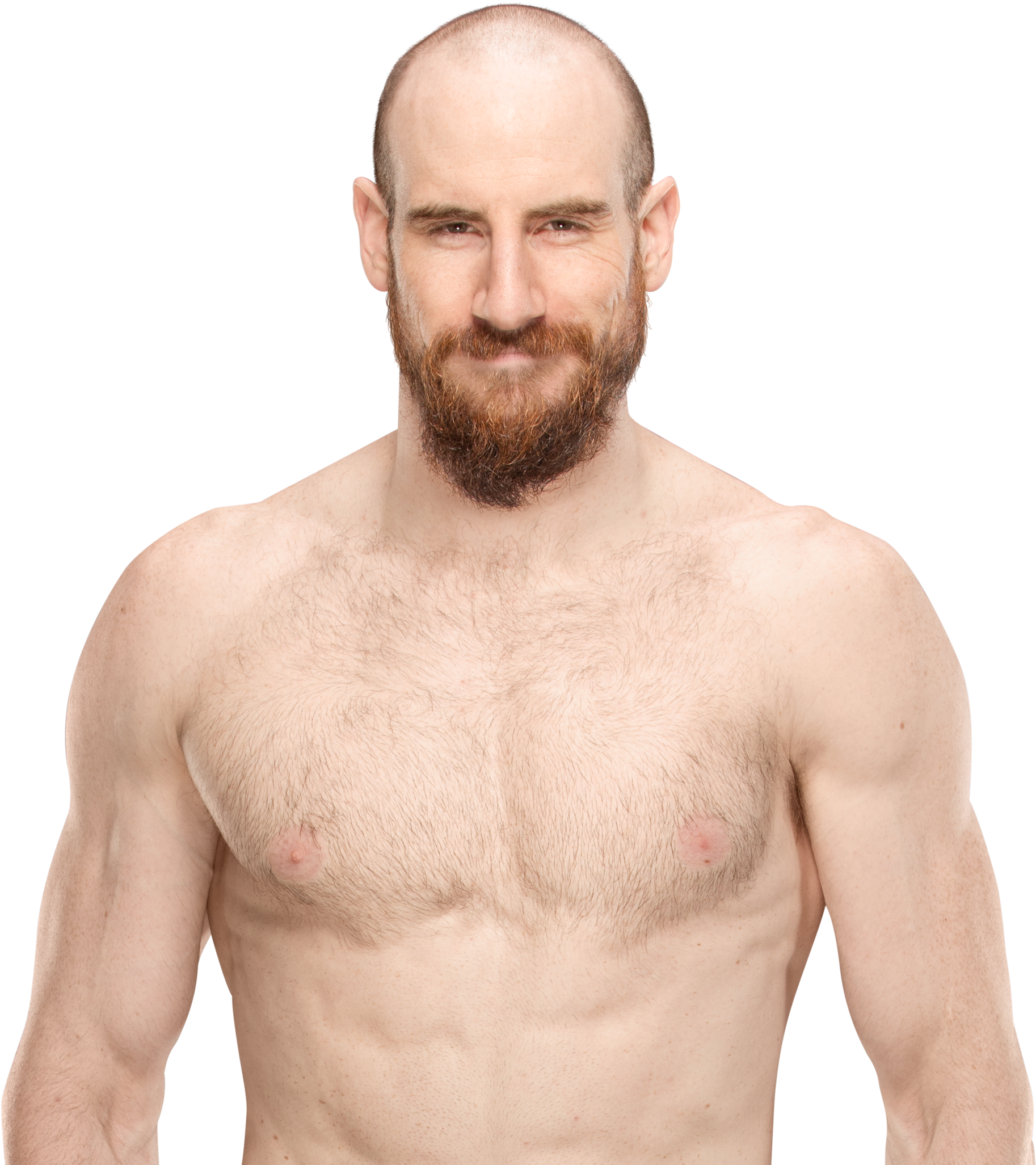 Aiden English - Aiden English Bald Clipart (2940x2080), Png Download