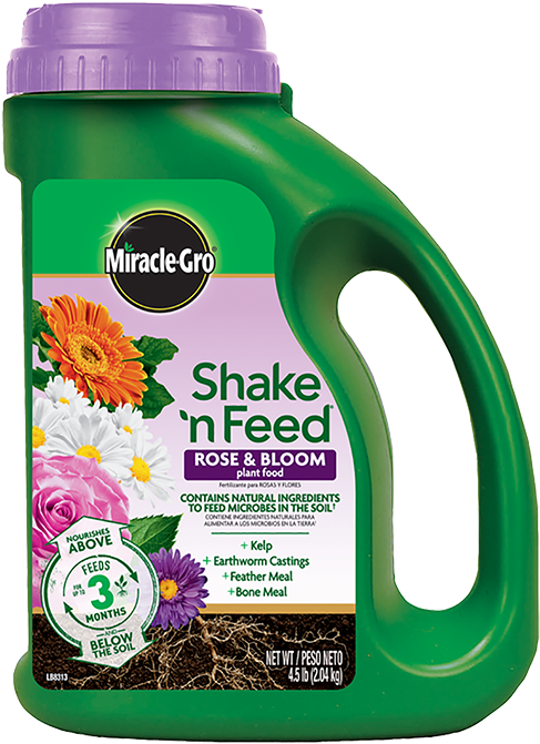Rose And Bloom Plant Food - Miracle Grow Fertilizer Rose Clipart (500x684), Png Download