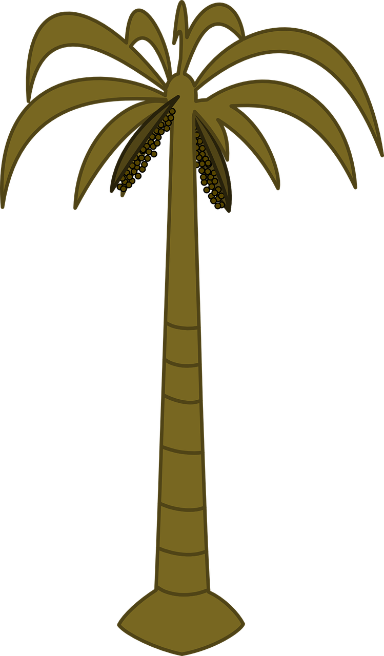 Palm Tree Clip Art - Png Download (500x854), Png Download